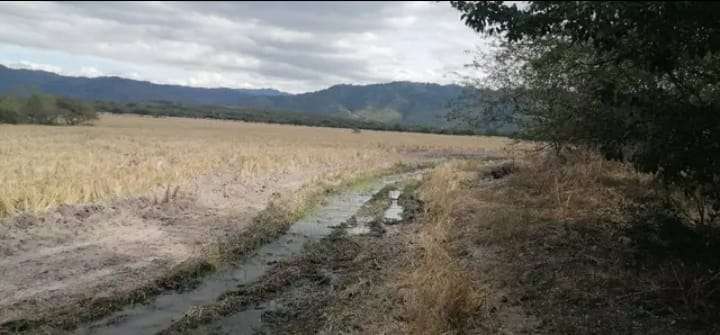Se Vende Hermosa Propiedad en Comayagua
