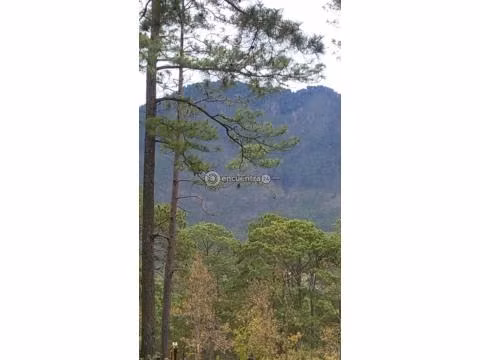RESIDENCIAL  PANORAMA TATUMBLA