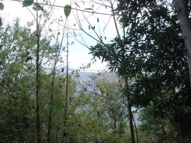 Vendo Terreno en la Laguna de Apoyo con espectacular vista 4105