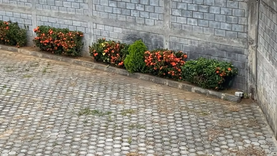 SE RENTA EN LOMAS DEL VALLE, EDIFICIO DE TRES PISOS - Imagen 7