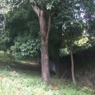 NG- En Venta Amplio Terreno en Santo Domingo - Imagen 5