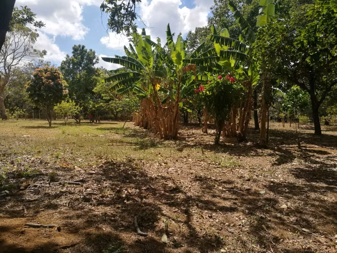 Land sale km 13 road Masaya