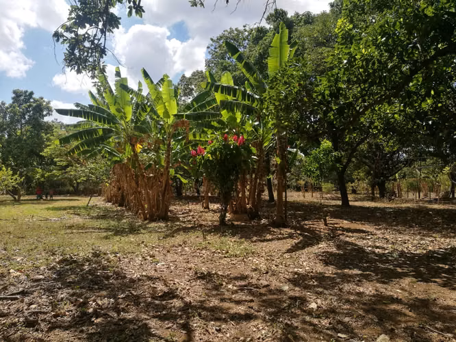 Venta de terreno km 13 carretera Masaya - Imagen 2