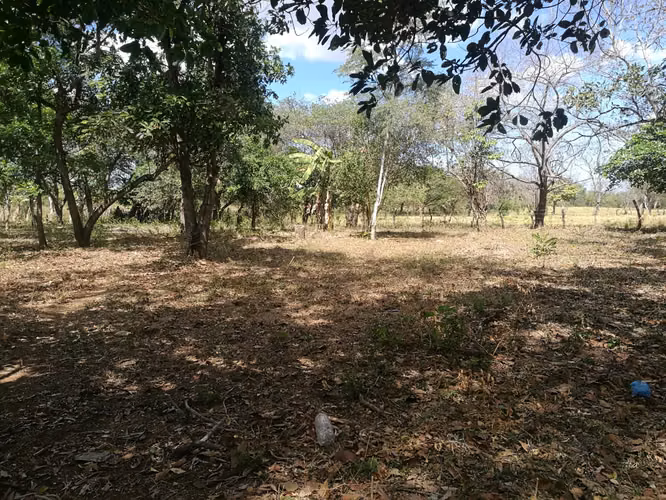 Venta de terreno km 13 carretera Masaya - Imagen 4