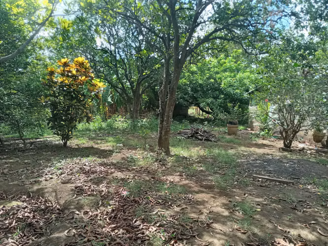 Venta de 2 manzanas y 1,000 varas en Ticuantepe 4105 - Imagen 3