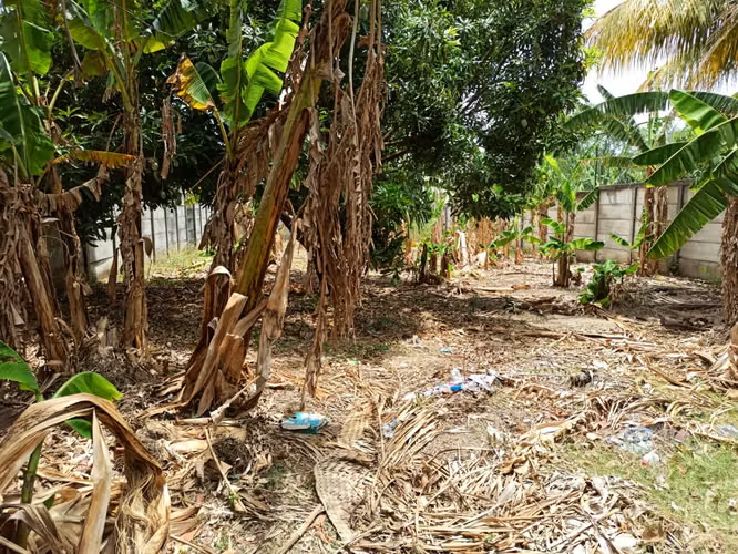 Lote de Terreno en Venta Carretera Masaya Ticuantepe - Imagen 4