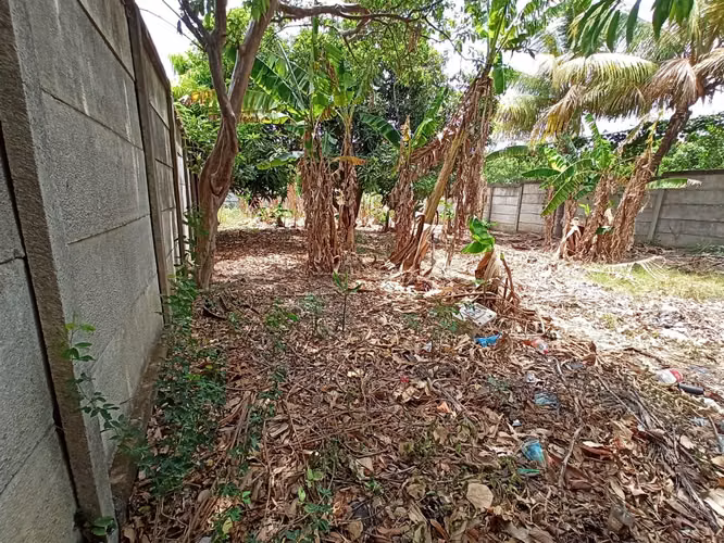 Lote de Terreno en Venta Carretera Masaya Ticuantepe - Imagen 2