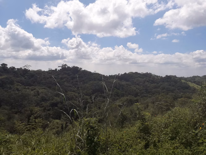 Selling rustic estate in Villa El Carmen 0511