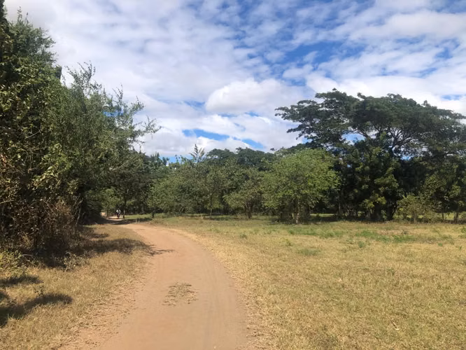 VENTA Lote de Tierra en Tisma / NG