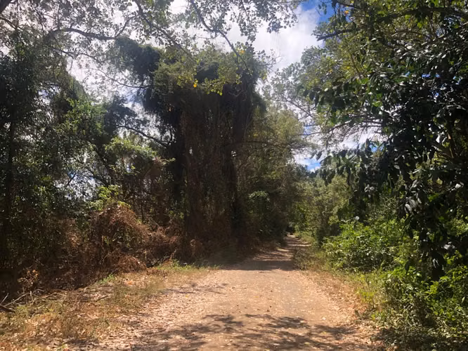 VENTA Lote de Tierra en Tisma / NG