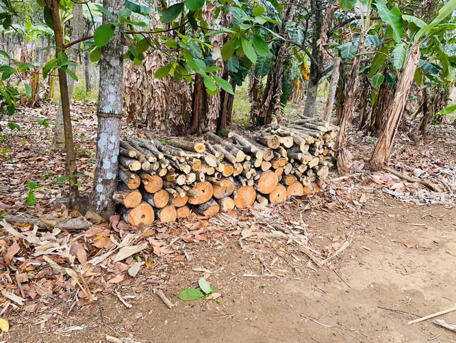AL-  9 fabulosas Manzanas en Masatepe $135,000 - Imagen 17