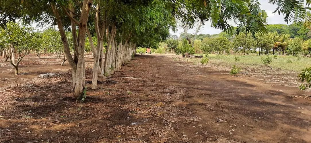 Se vende V 6.5 Manzanas en Jinotepe $130,000 BMD - Imagen 20