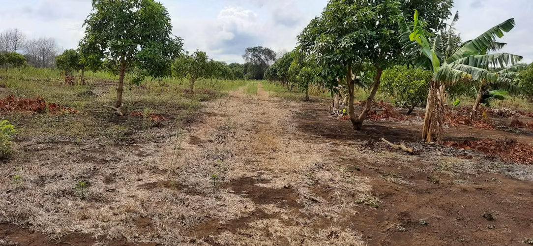 Se vende V 6.5 Manzanas en Jinotepe $130,000 BMD - Imagen 15