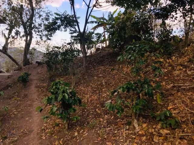 AL- Quinta en Jinotega, la Ciudad de las Brumas BMD
