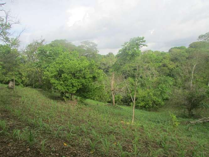 PROPIEDAD 5MZ Y 3 CUARTO DE MZ UBICADA EN SAN MARCOS CARAZO:
