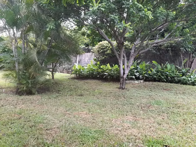 VENTA CASA CON GRAN PATIO EN LAS CUMBRES 5382 - Imagen 2
