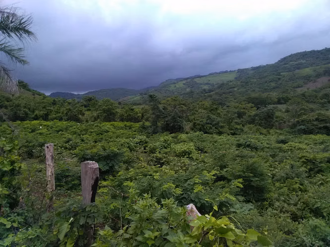 Ganga se vende finca / terrenos en San Juan del Sur dmm