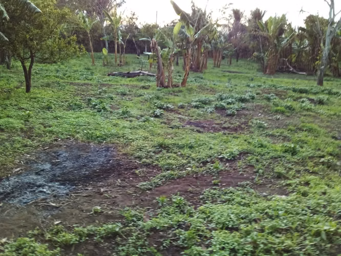 VENTA Terreno en Ticuantepe / NG - Imagen 5