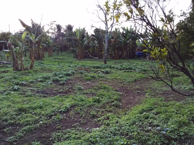 VENTA Terreno en Ticuantepe / NG - Imagen 4