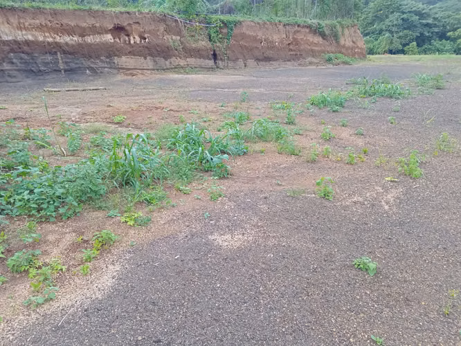 Terreno de 1,700 vrs2. en Villa Fontana Sur. - Imagen 3