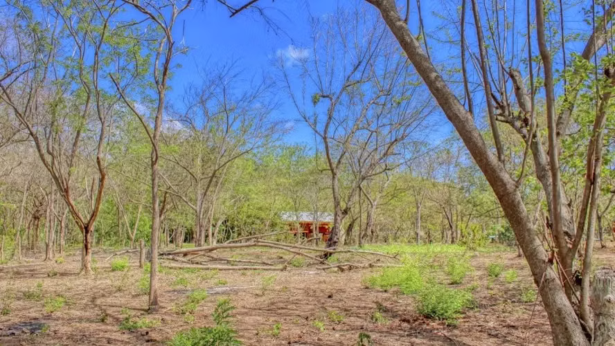 Home on 4.5 Acres Surrounded by Jungle
