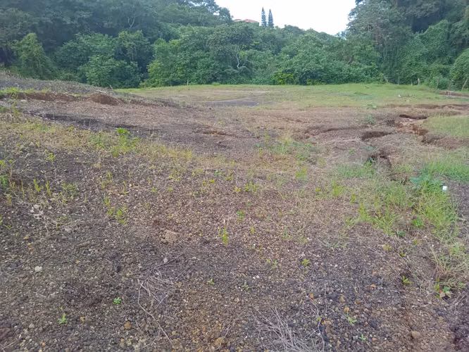Terreno de 597 vrs2. en Villa Fontana Sur.