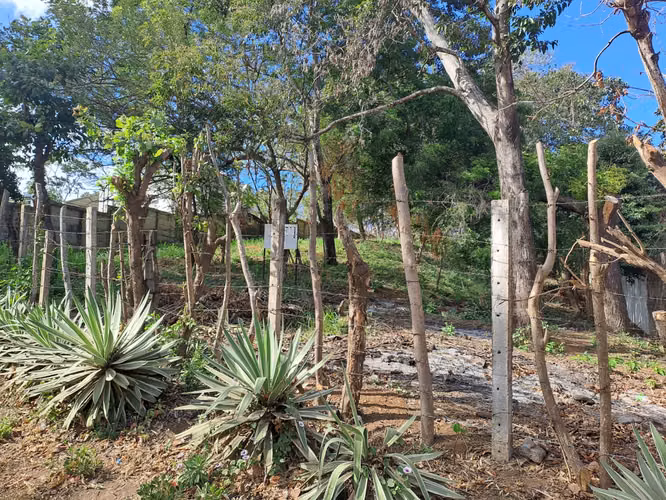 Venta de terreno en Altos de Santo Domingo 2360  varas !!LAM - Imagen 3