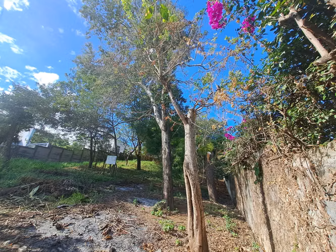 Venta de terreno en Altos de Santo Domingo 2360  varas !!LAM - Imagen 5