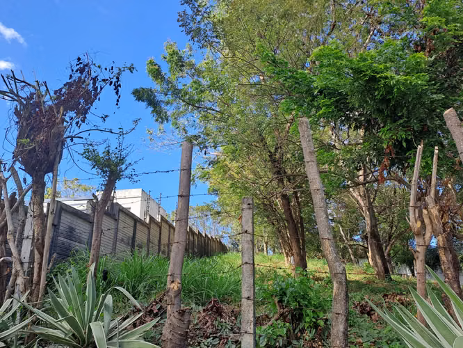 Venta de terreno en Altos de Santo Domingo 2360  varas !!LAM - Imagen 4
