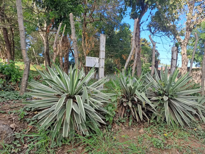 Venta de terreno en Altos de Santo Domingo 2360  varas !!LAM - Imagen 7