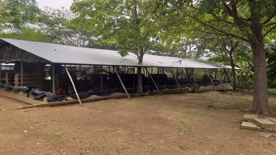 En venta propiedad Avicola del Carmen Jinotepe Carazo