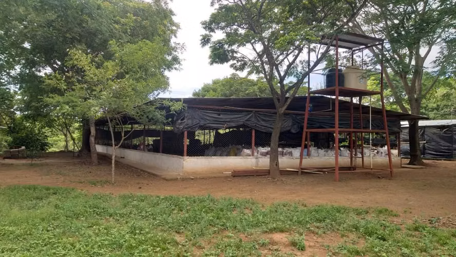 En venta propiedad Avicola del Carmen Jinotepe Carazo