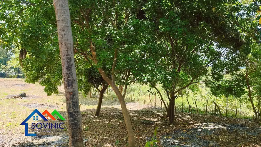 Terreno en venta ticuantepe la Borgoña - Imagen 4