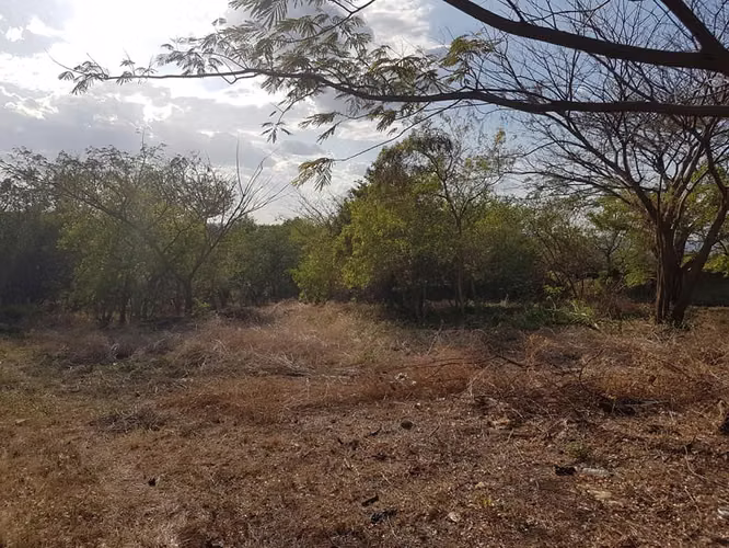 En venta terreno carretera sur Altos de Ticomo - Imagen 6