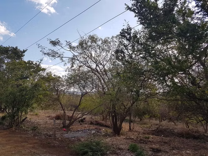En venta terreno carretera sur Altos de Ticomo - Imagen 3