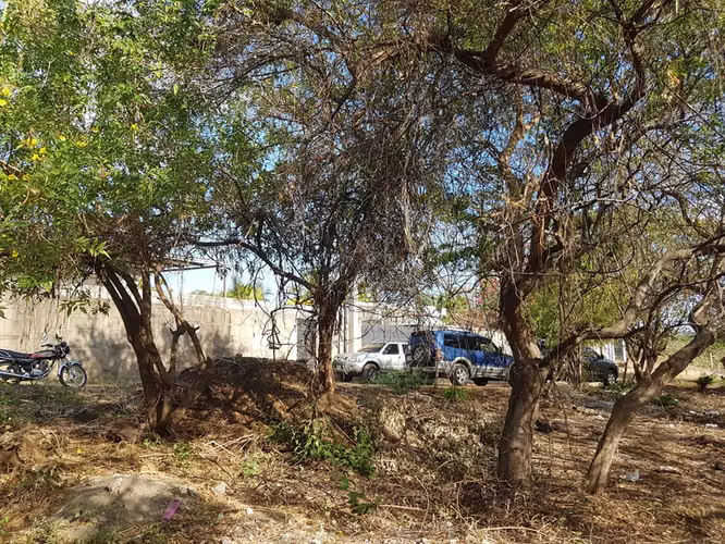 En venta terreno carretera sur Altos de Ticomo - Imagen 7