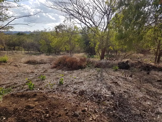 En venta terreno carretera sur Altos de Ticomo - Imagen 4