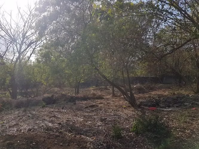 En venta terreno carretera sur Altos de Ticomo - Imagen 18