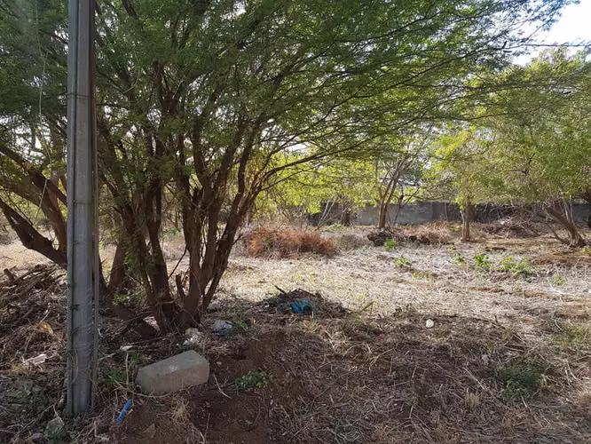En venta terreno carretera sur Altos de Ticomo - Imagen 15