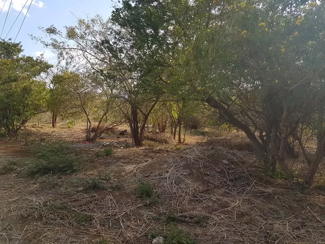 En venta terreno carretera sur Altos de Ticomo - Imagen 17