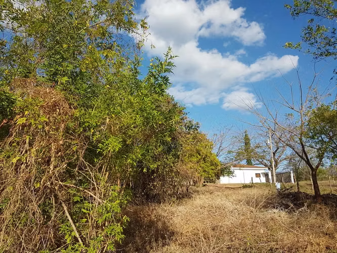 En venta terreno carretera sur Altos de Ticomo - Imagen 13