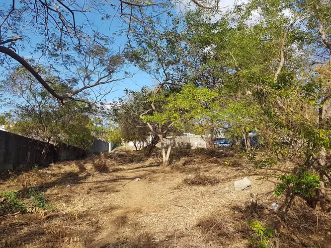 En venta terreno carretera sur Altos de Ticomo - Imagen 10