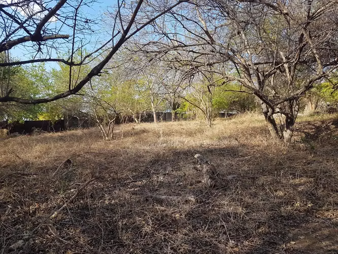 En venta terreno carretera sur Altos de Ticomo - Imagen 8