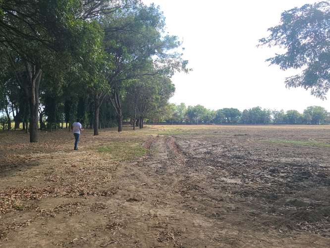 COFRADÍA SE VENDEN 15 MANZANAS