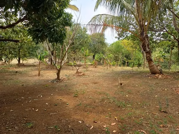 En venta precioso terreno en carretera sur - Imagen 11