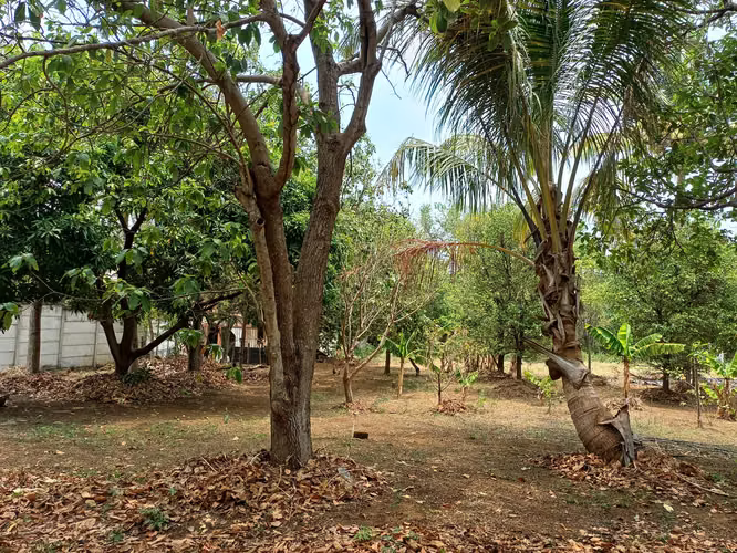 En venta precioso terreno en carretera sur - Imagen 20
