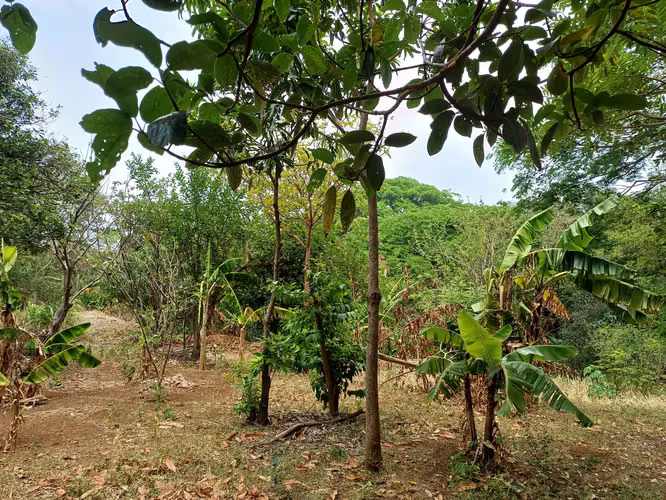 En venta precioso terreno en carretera sur - Imagen 15