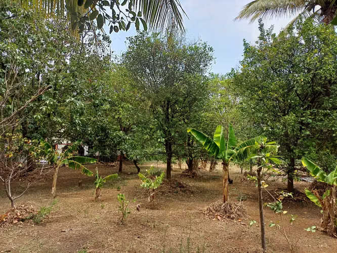 En venta precioso terreno en carretera sur - Imagen 18