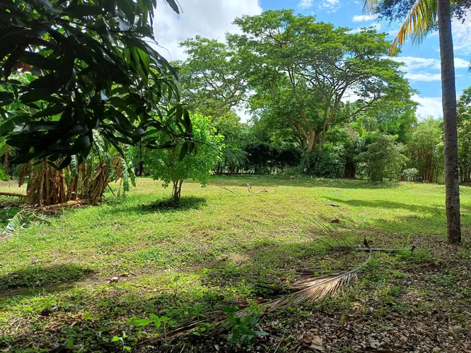 En venta precioso terreno en carretera sur - Imagen 10