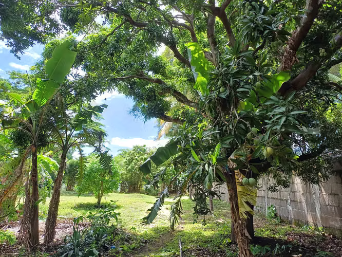 En venta precioso terreno en carretera sur - Imagen 5